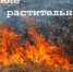 Правила сжигания-весна. - Советский район
